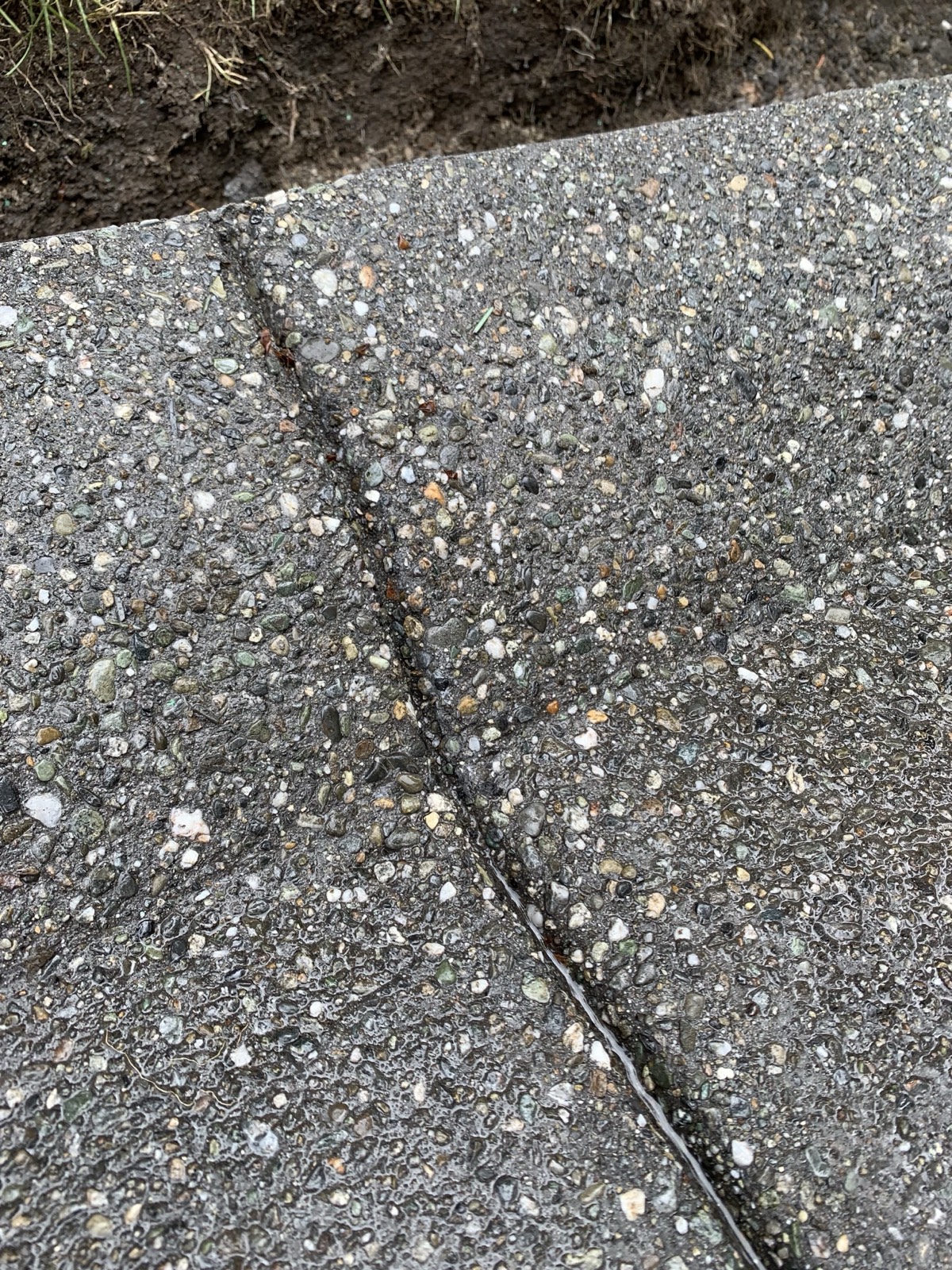 Concrete Patios project 9
